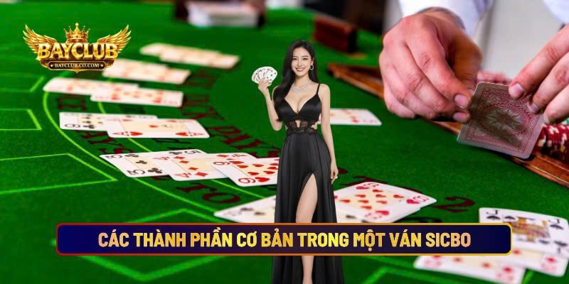 Các Thành Phần Cơ Bản Trong Một Ván Sicbo