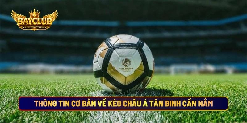 Thông Tin Cơ Bản Về Kèo Châu Á Tân Binh Cần Nắm